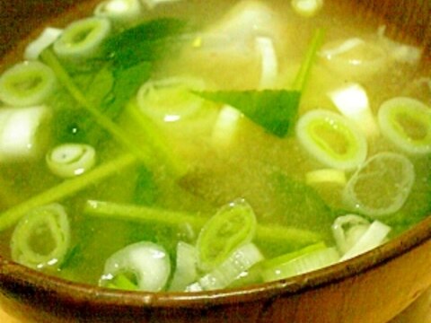 小松菜・ねぎ・さといもの味噌汁
